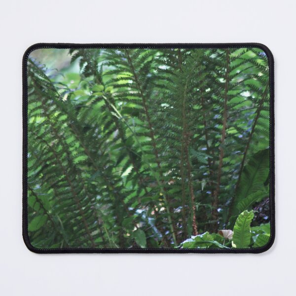 Item preview, Fern designed and sold by Emma  Amies.