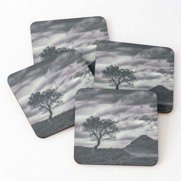 Item preview, Assynt Tree designed and sold by David Bowman.