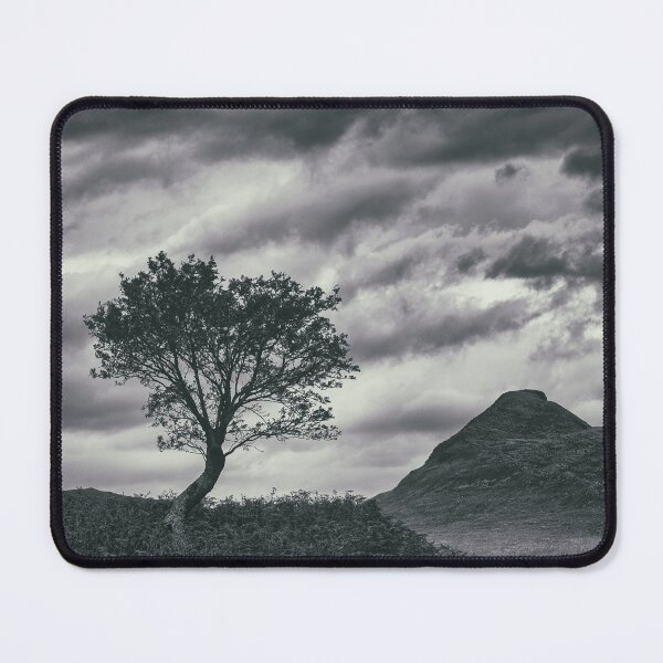 Item preview, Assynt Tree designed and sold by David Bowman.
