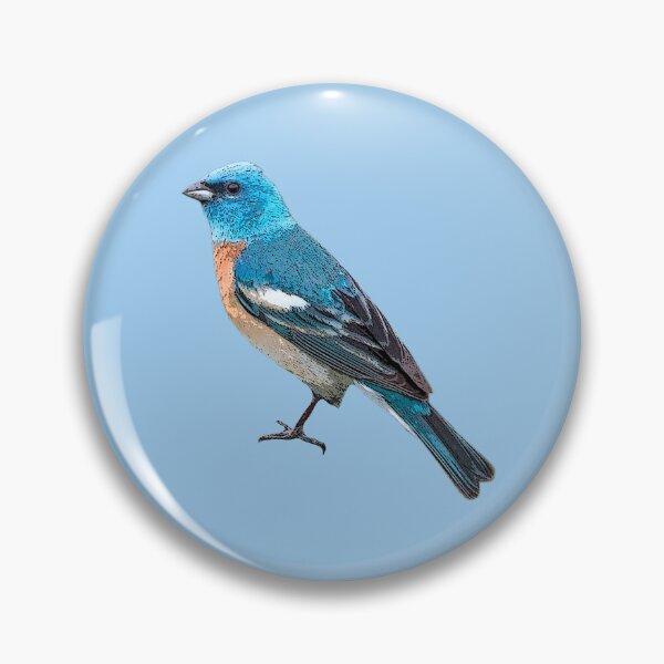 Item preview,  Lazuli Bunting Color Design  designed and sold by designsasstultd.