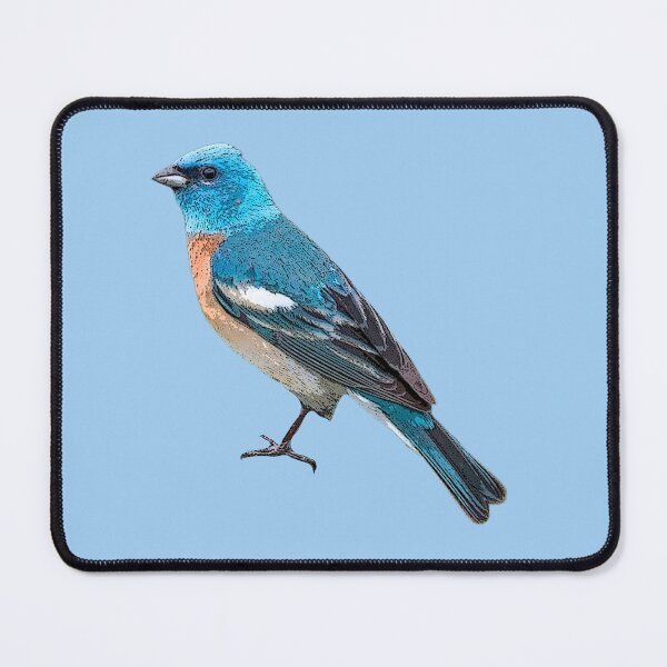 Item preview, Lazuli Bunting Color Design designed and sold by designsasstultd.