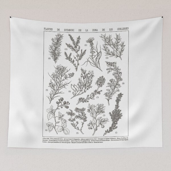 Item preview, Mediterranean plants designed and sold by DruskyDesign.