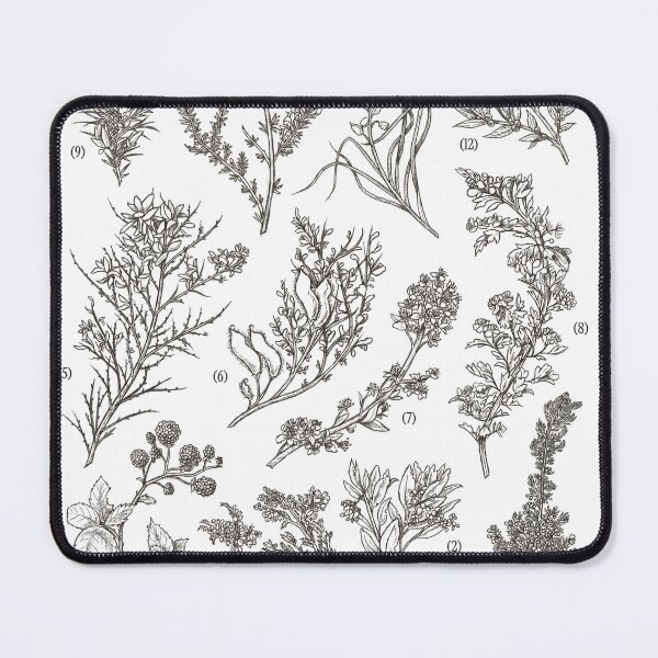 Item preview, Mediterranean plants designed and sold by DruskyDesign.