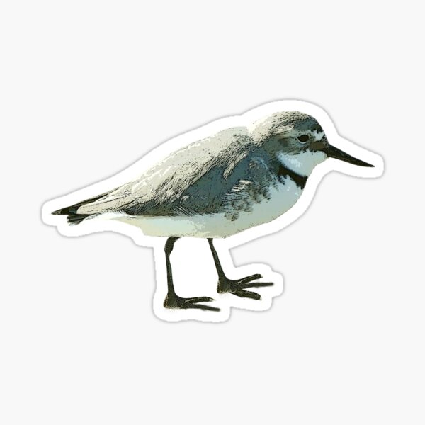 Item preview, Wrybill Plover Color Design  designed and sold by designsasstultd.