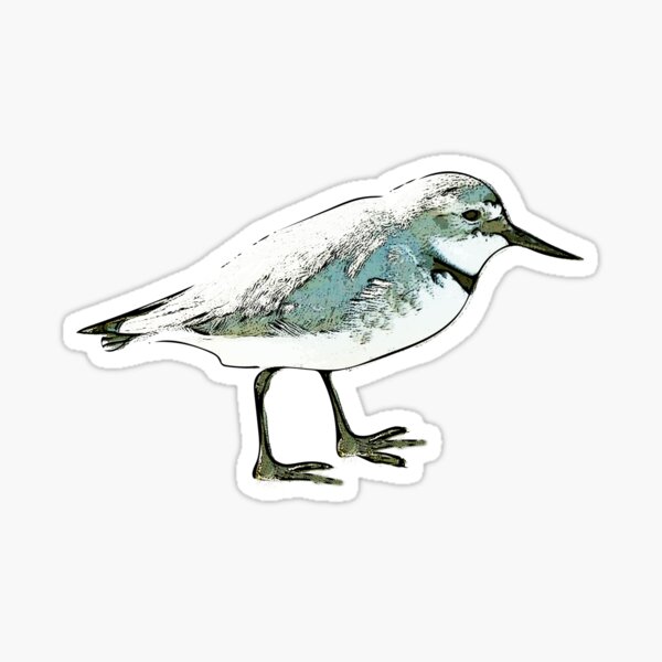Item preview, Wrybill Plover Black Alternate Design  designed and sold by designsasstultd.