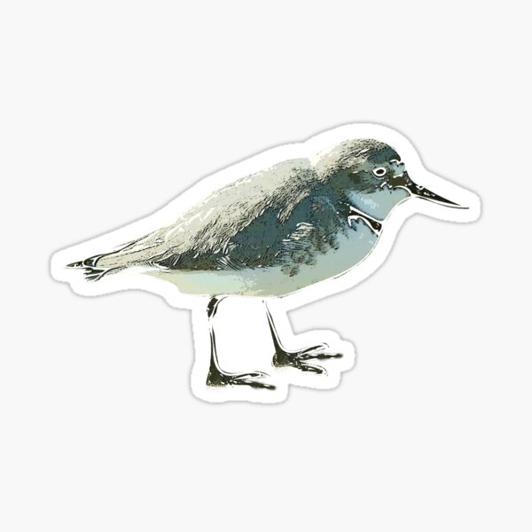 Item preview, Wrybill Plover White Alternate Design  designed and sold by designsasstultd.