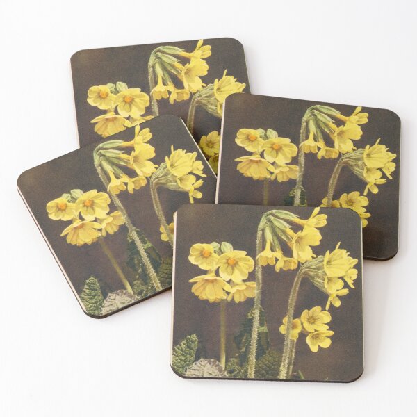 Item preview, Vintage Botanical Postcards: Primula Elatior (True Oxlip) designed and sold by sleepyhenry.