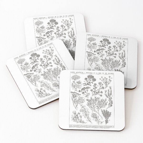 Item preview, Aromatic and medicinal plants of the Mediterranean designed and sold by DruskyDesign.