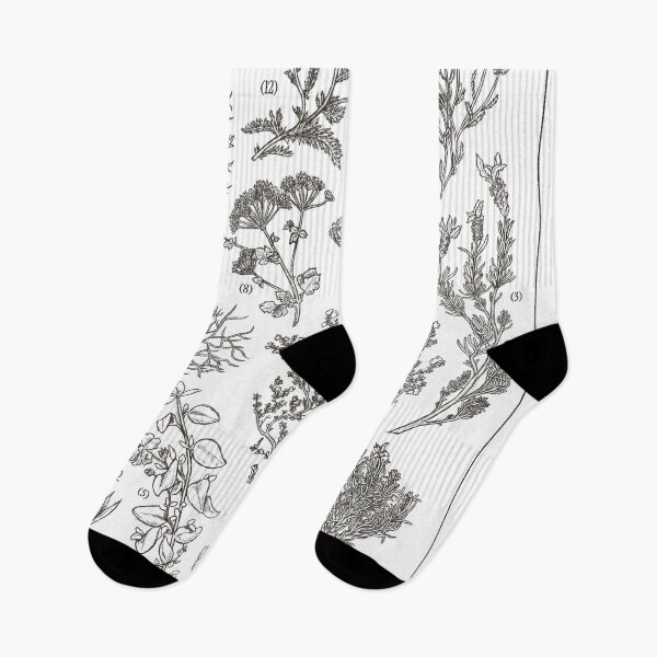 Item preview, Aromatic and medicinal plants of the Mediterranean designed and sold by DruskyDesign.