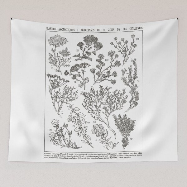 Item preview, Aromatic and medicinal plants of the Mediterranean designed and sold by DruskyDesign.