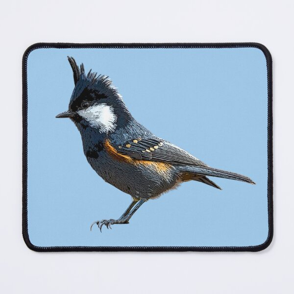 Item preview, Coal Tit Color Design  designed and sold by designsasstultd.