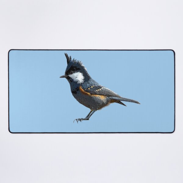 Item preview, Coal Tit Color Design designed and sold by designsasstultd.