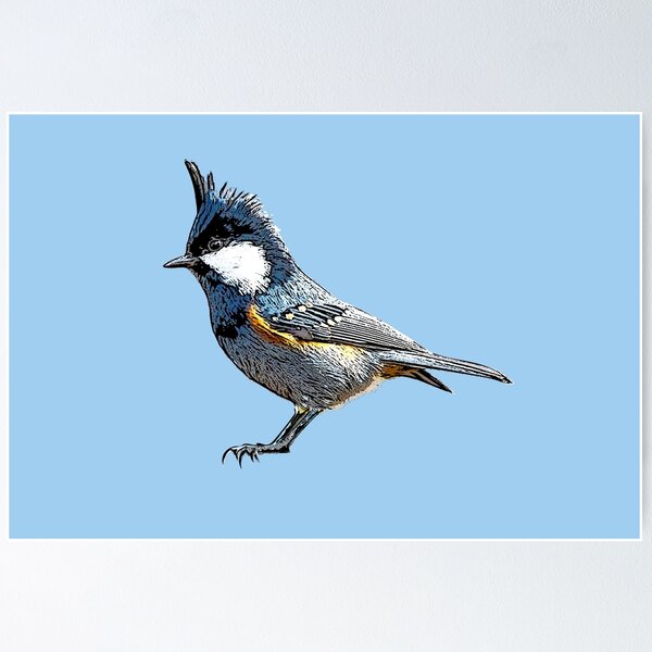 Item preview, Coal Tit Black Alternate Design  designed and sold by designsasstultd.