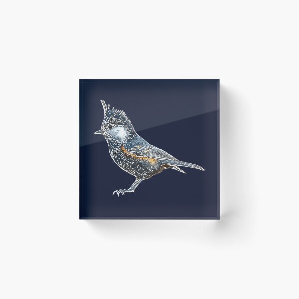 Item preview, Coal Tit White Alternate Design  designed and sold by designsasstultd.