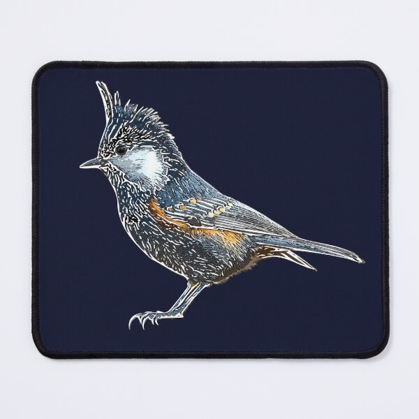 Item preview, Coal Tit White Alternate Design designed and sold by designsasstultd.