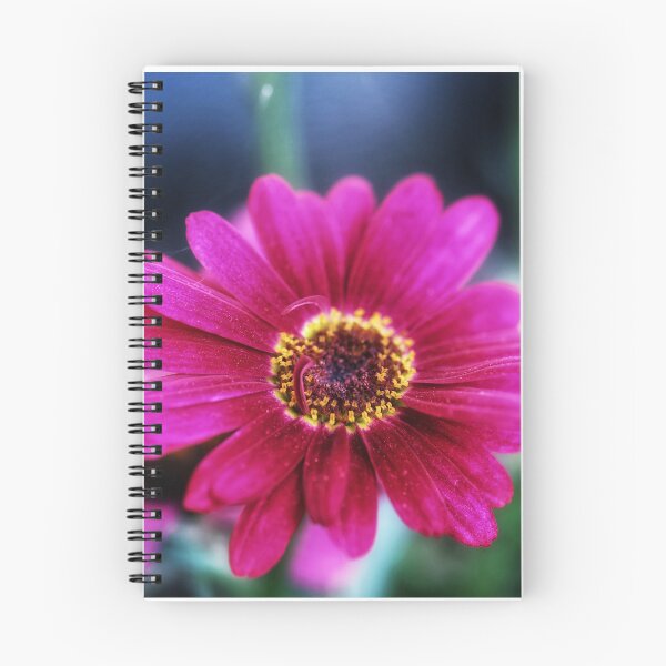 Artikelvorschau, Pinke Blume entworfen und verkauft von Dirtpathdesigns.