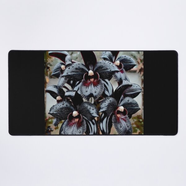 Item preview, Black Orchid Catasetum Fredclarkeara After Dark Black v1 designed and sold by Helios Be. Lavsh.