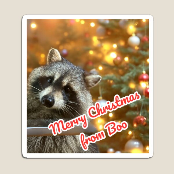 Item preview, Merry Christmas from Boo designed and sold by Richard W J Conyard.