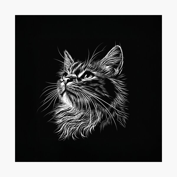 Item preview, A cat in a striking monochromatic style. designed and sold by HEMRO.