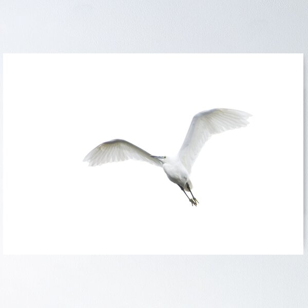 Item preview, Little Egret Flying designed and sold by ZamarLi-Art.