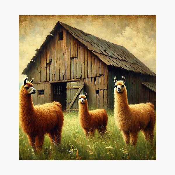 Item preview, "Llamas by the Barn" designed and sold by mustardseed-410.