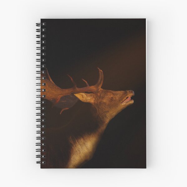 Item preview, Fallow Buck designed and sold by ZamarLi-Art.