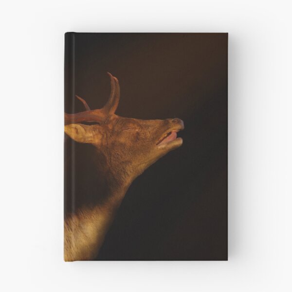 Item preview, Fallow Buck designed and sold by ZamarLi-Art.