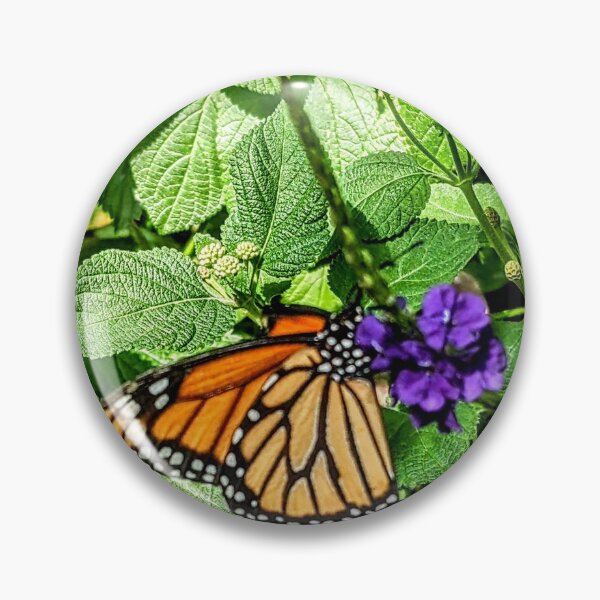 Item preview, Monarch  designed and sold by Sweetwater27.