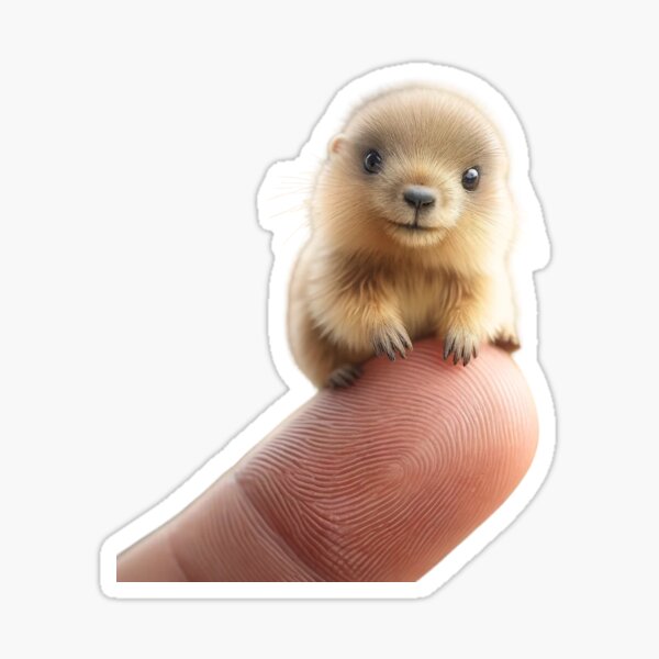 Item preview, Winziges Otterbaby thront auf einem Finger designed and sold by Catsmoment.