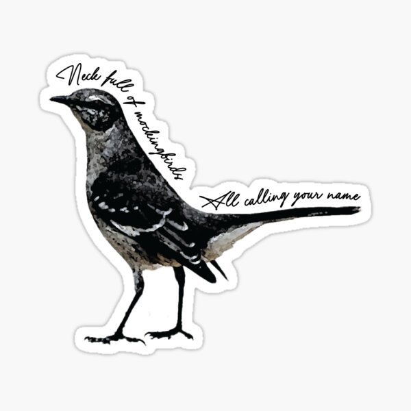 Artikel-Vorschau von Boygenius Mockingbird Salz in die Wunde, designt und verkauft von clawinyourback.
