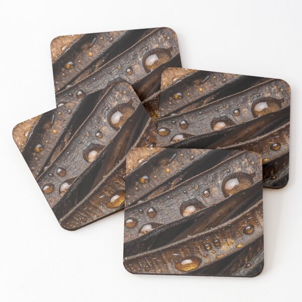 Item preview, Close-up of water droplets on dark brown leaves after rain capturing nature's intricacies in vibrant detail designed and sold by anytka.