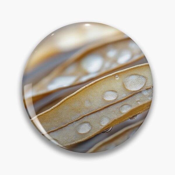 Item preview, Moisture droplets on dried leaves designed and sold by anytka.