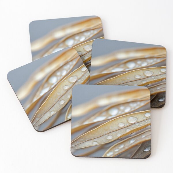 Item preview, Moisture droplets on dried leaves designed and sold by anytka.