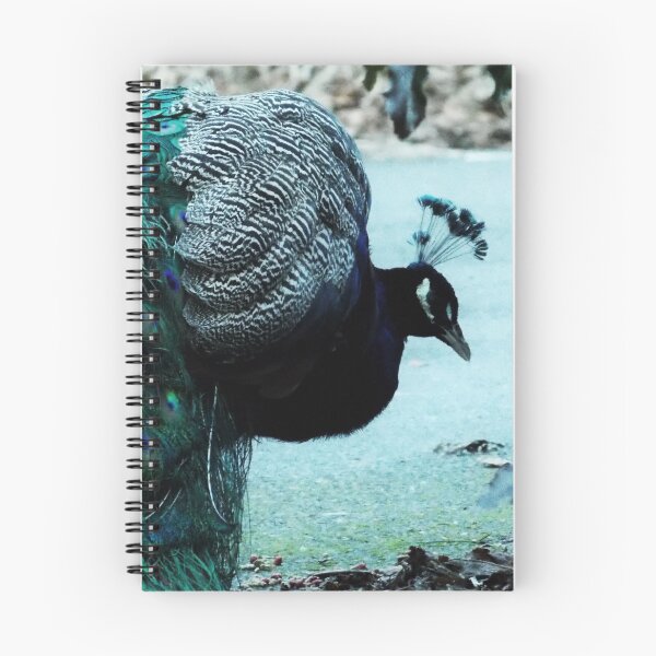 Item preview, Peacock  designed and sold by Carmen_Nabholz_Artwork.