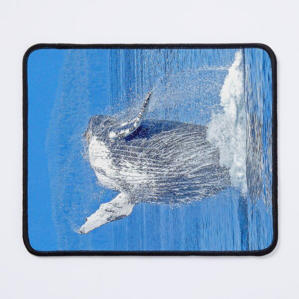 Item preview, Alaska Humpback Whale, Alaska the Last Frontier, Glacier Bay, Juneau, Anchorage, Shower Curtain, Coffee Mug, Pillow, Blanket, Wall Art, Poster, Metal Art, Apparel, Phone Cases and more. designed and sold by MoreEZUSA-Here.