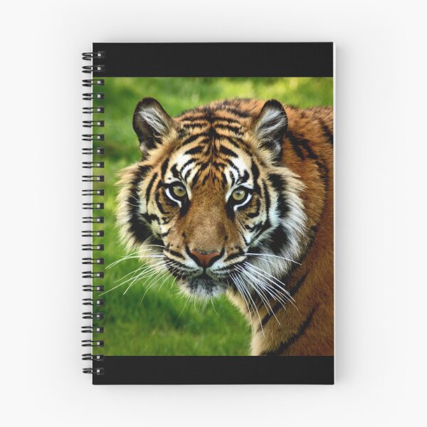 Item preview, ~Sumatran Tiger! designed and sold by a~m ..