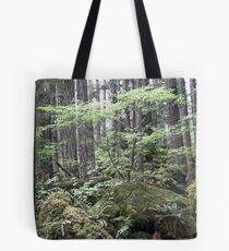 dry stream, Olympic Peninsula, USA Tote Bag