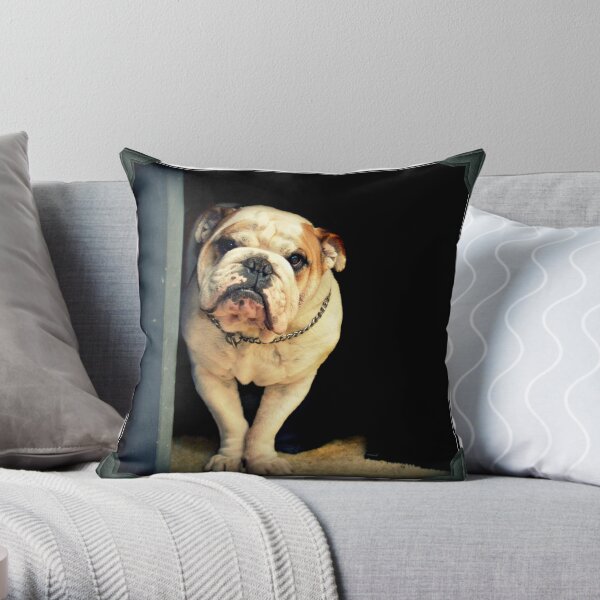 ~Floyd~ Throw Pillow
