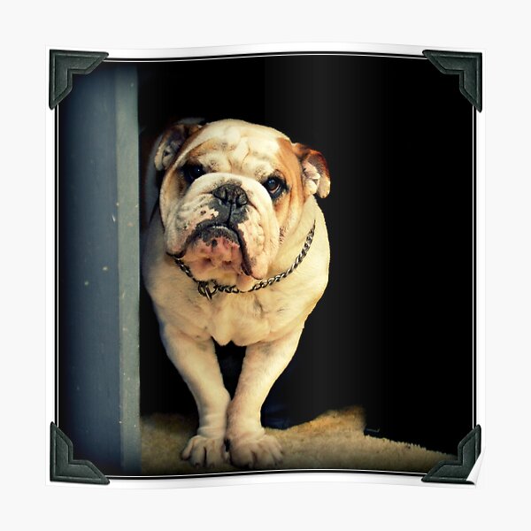 ~Floyd~ Poster