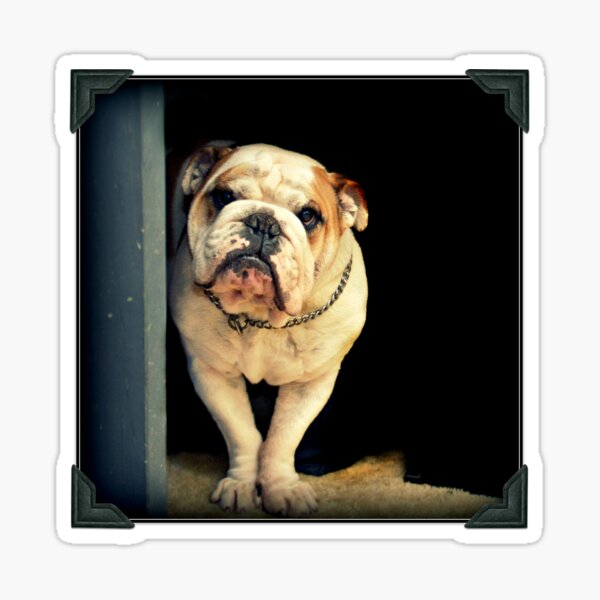 ~Floyd~ Sticker