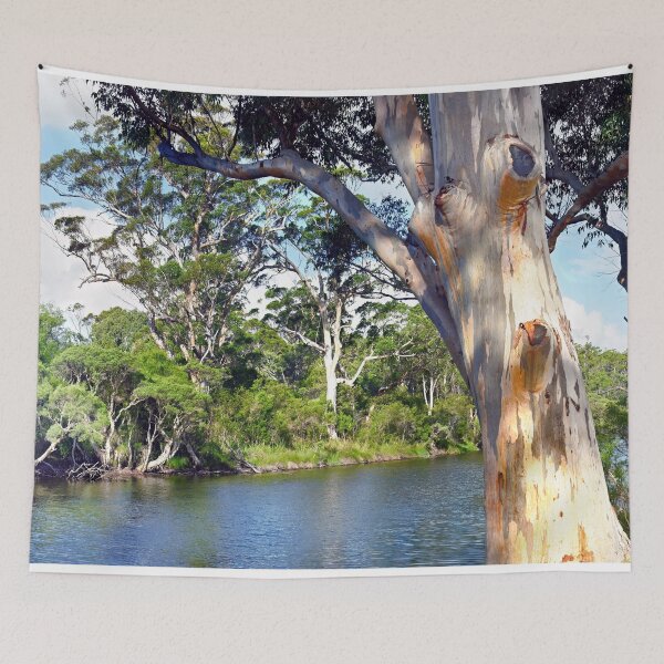 Item preview, Denmark - Western Australia Denmark River Gum Trees designed and sold by Adam Gormley.