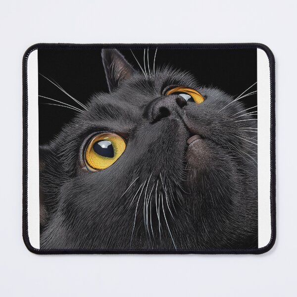 Item preview, Black Cat designed and sold by WebHorizons.