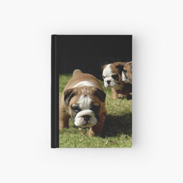 ~I TOLD YOU NO PHOTOS~ Hardcover Journal