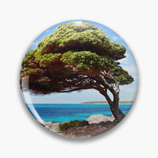 Item preview, Bunker Bay - Western Australia Unique Interesting Trees designed and sold by Adam Gormley.