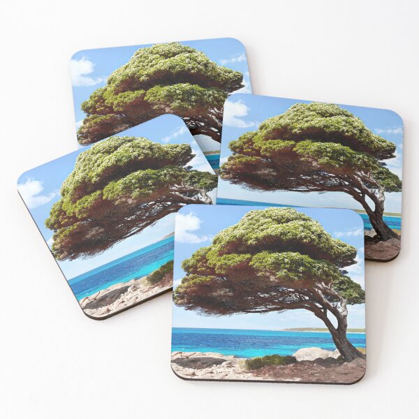 Item preview, Bunker Bay - Western Australia Unique Interesting Trees designed and sold by Adam Gormley.