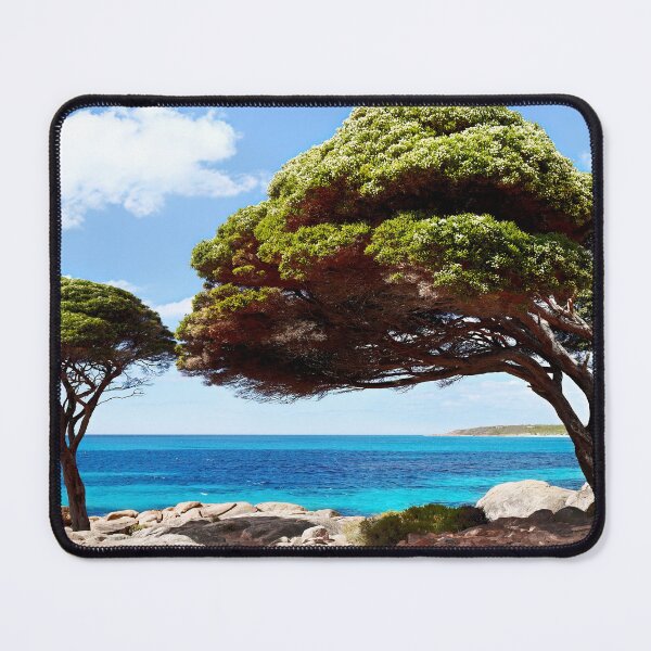 Item preview, Bunker Bay - Western Australia Unique Interesting Trees designed and sold by Adam Gormley.