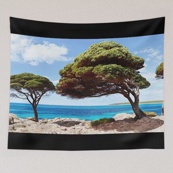 Item preview, Bunker Bay - Western Australia Unique Interesting Trees designed and sold by Adam Gormley.