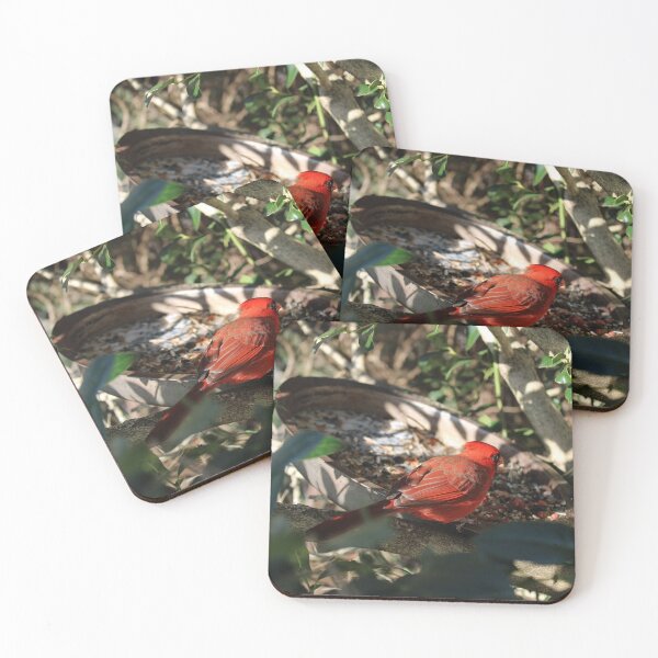 Item preview, Male cardinal  designed and sold by McFleur's Lens.