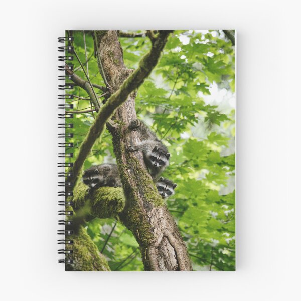 Item preview, Baby Raccoons designed and sold by millivedder.