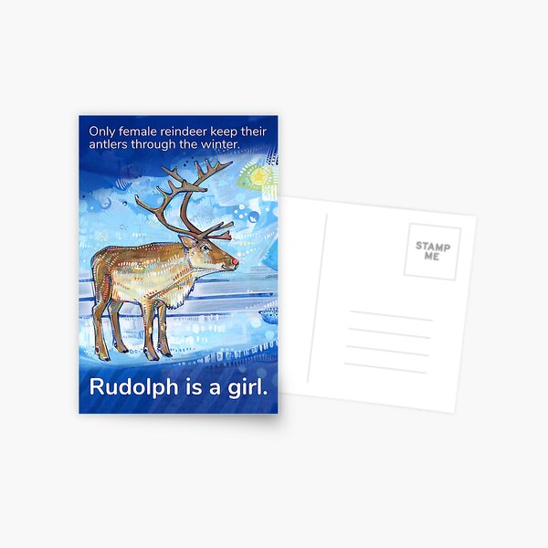 Rudolph Is a Girl Postcard